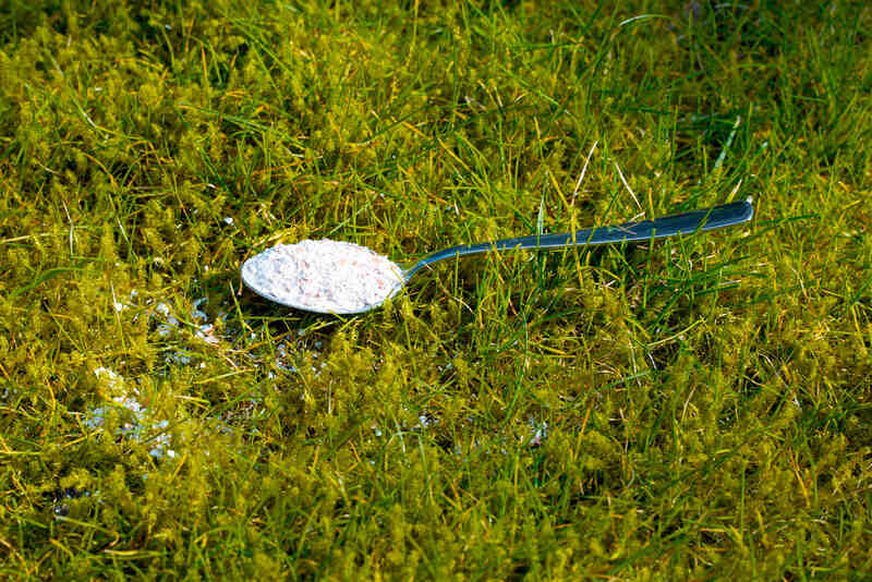 Crushed eggshells as natural lime fertilizer to remove the moss on a green lawn