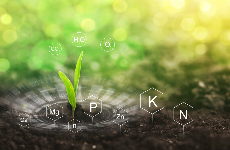 Role of nutrients mineral in plant and soil life