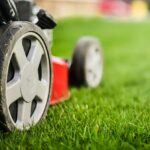 What is the One-Third Rule for Mowing Grass?