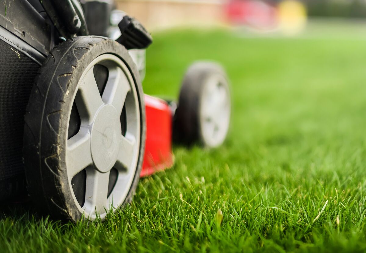 Lawn mower on green grass in a lawn