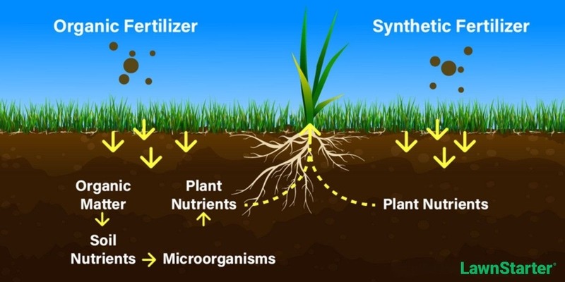 illustration depicting organic fertilizer and synthetic fertilizer
