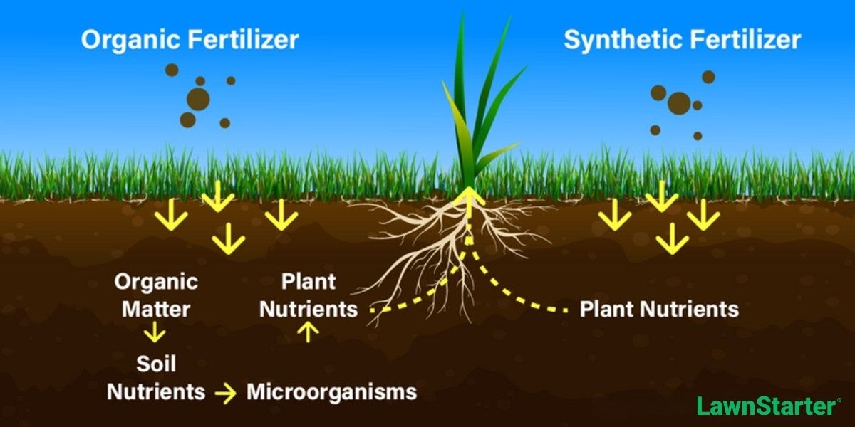 illustration depicting organic fertilizer and synthetic fertilizer