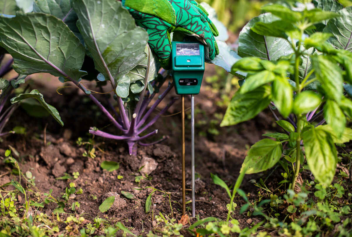 soil ph tester placed in a soil