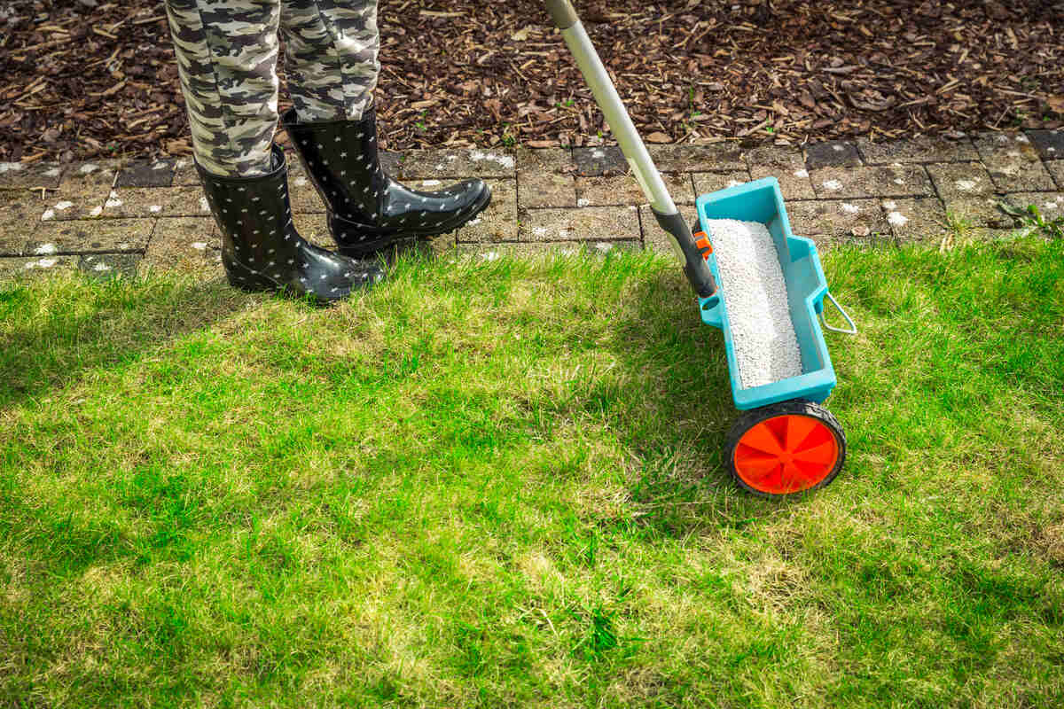 Fertilizer spreader on green grassy lawn 