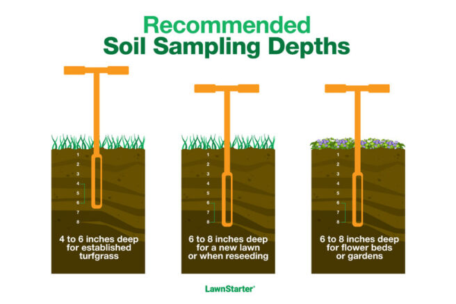 How to Use a Soil Test Kit