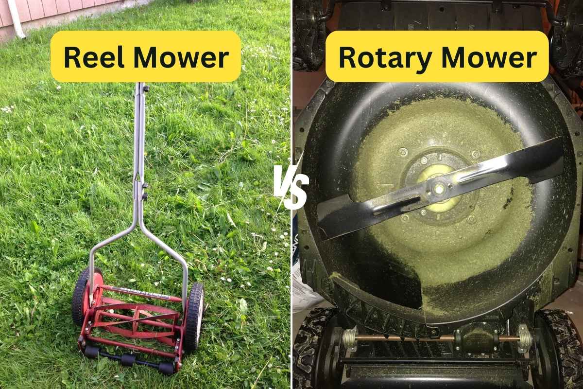 side by side image of reel mower and rotary mower
