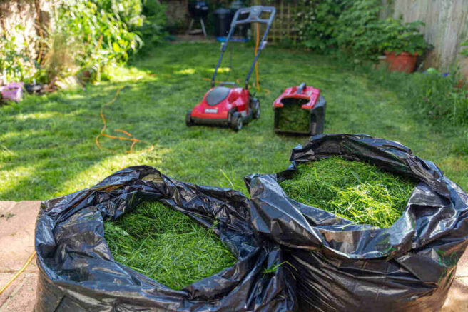 grass clippings in two trash bags, with a lawn mower and attachment in the background