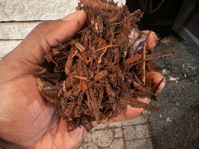Close-up of a hand holding damp brown mulch and wood chips outdoors, with stone paving and a light-colored wall nearby.