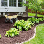 How to Mulch Your Yard: A Step-by-Step Guide