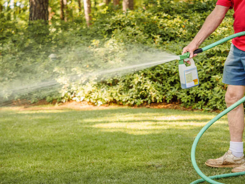 man using hose connected to a bottle of liquid fertilizer to spray on a lawn