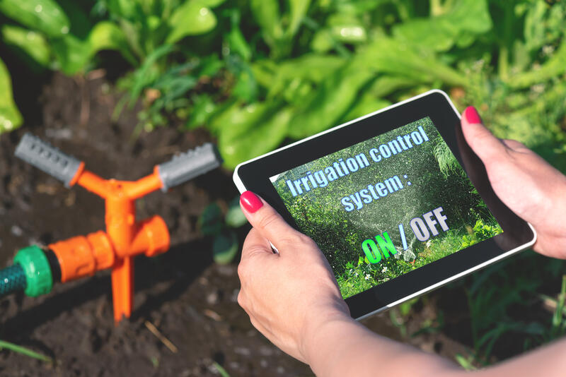 Woman is holding in her hand a tablet computer with a program for an irrigation control system. Garden sprinkler in background. 