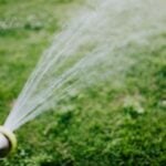 When to Water After Applying Weed and Feed