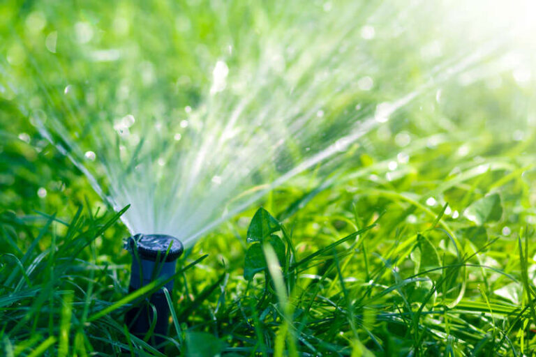 A lawn sprinkler spraying water over green grass in sunlight.