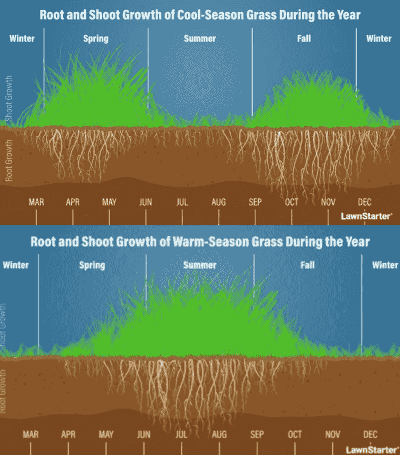 A side by side picture showing growth of cool and warm season grass round the year