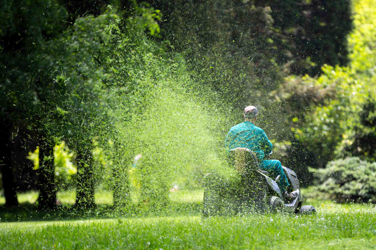 A man mowing with a gasoline self-propelled lawn mower