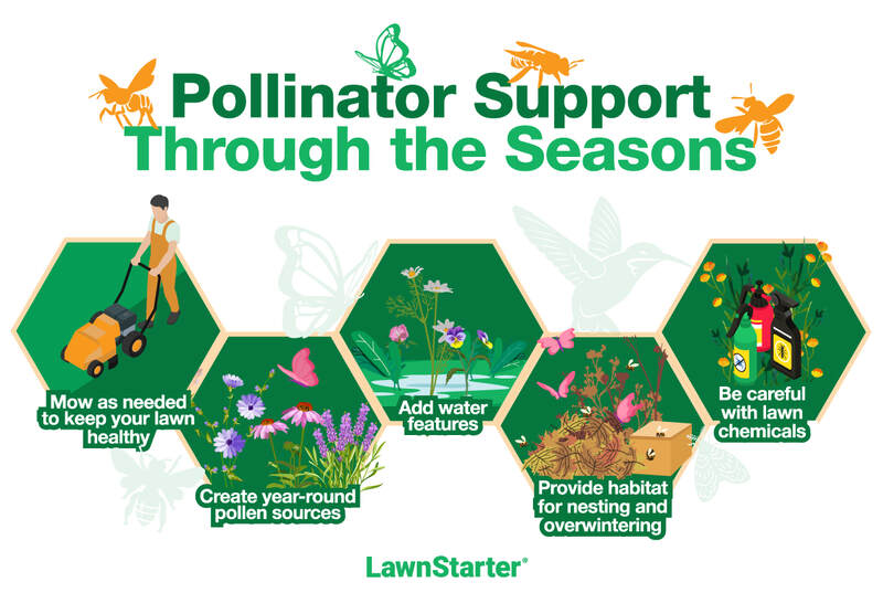 Infographic showing five ways to support pollinators year-round, including mowing, planting flowers, adding water, providing habitat, and avoiding chemicals.