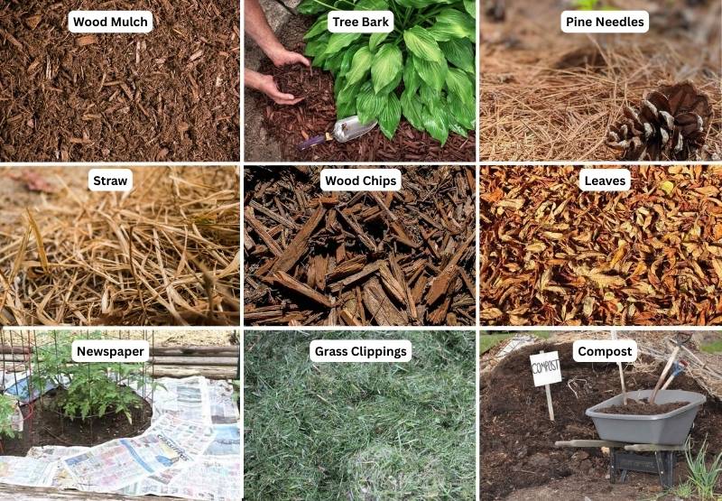 collage of different types of organic mulches
