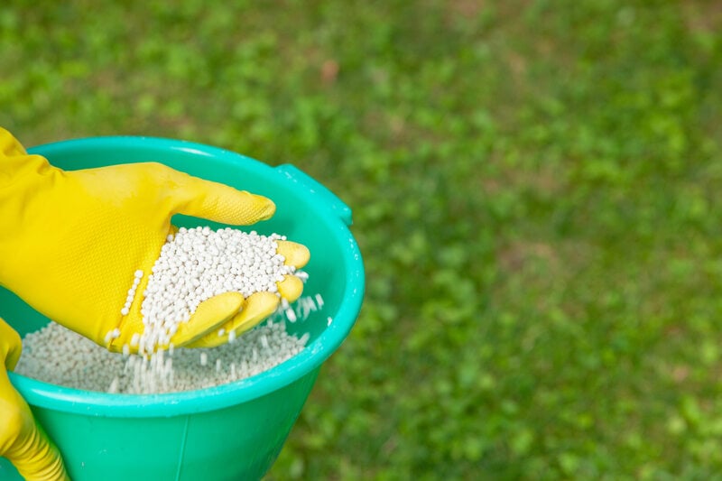 A person wearing yellow rubber gloves holds and sprinkles white granular fertilizer from a green plastic bucket over a grassy lawn.