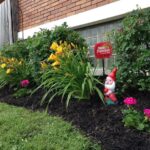 How to Choose the Right Mulch Color for Your Landscape
