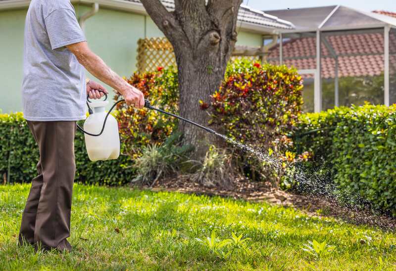 Man spraying weed killer herbicide on green grass residential yard.