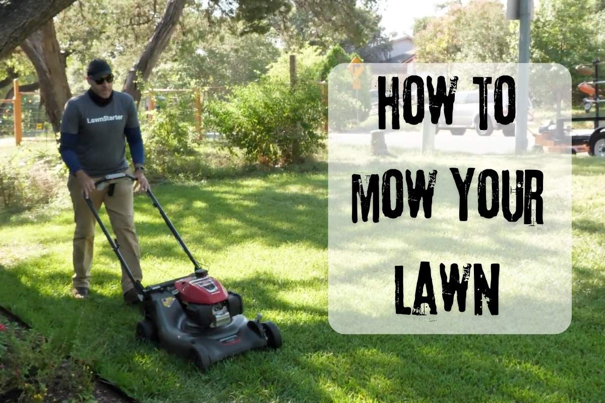Man mowing a green lawn with a gas-powered push mower under tree shade, alongside bold text reading “How to Mow Your Lawn.”