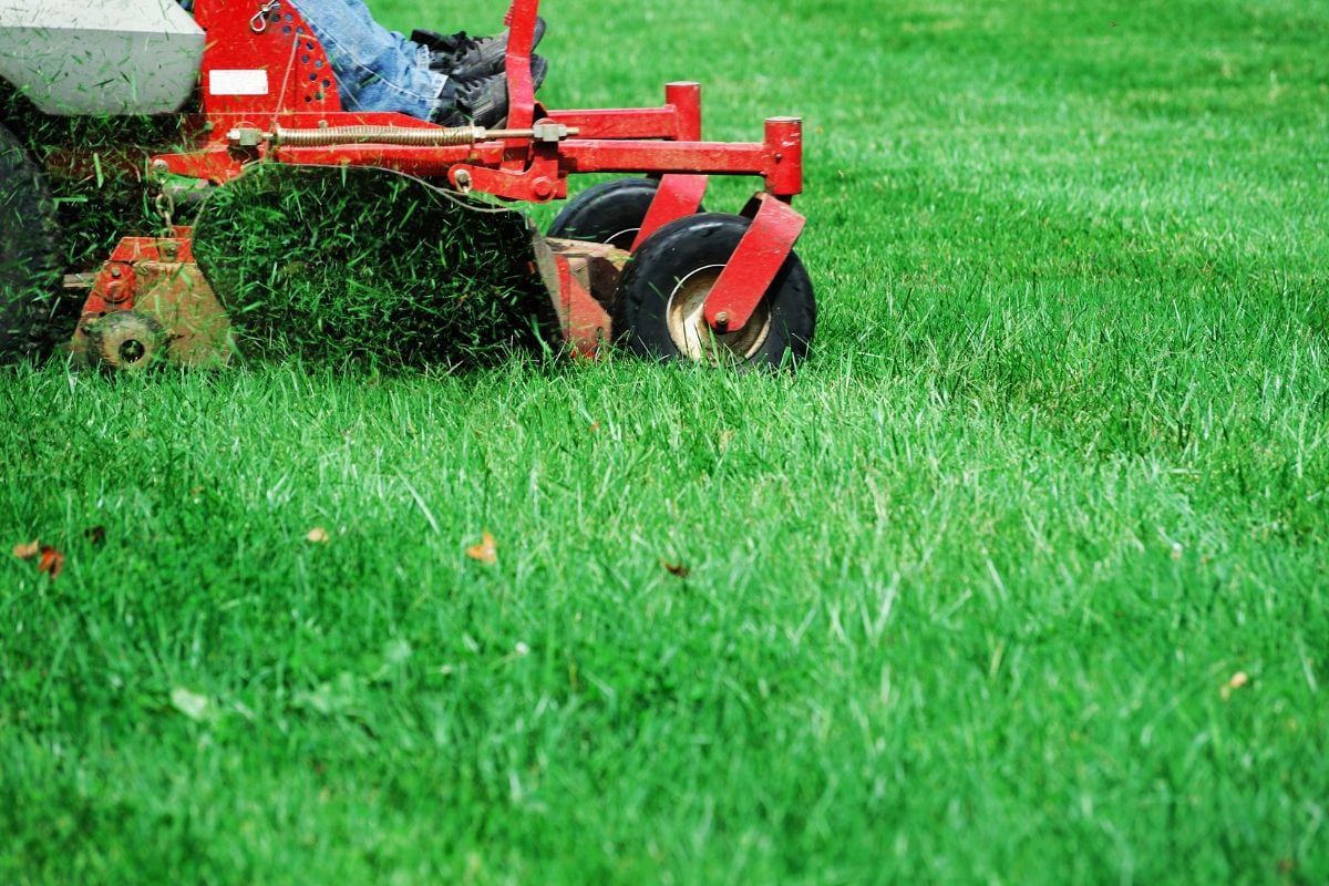 mowing the lawn