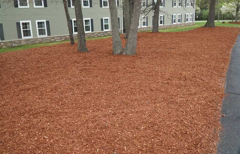 lawn with new mulch landscaped outside apartment building  