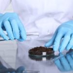 How to Read a Soil Test Report