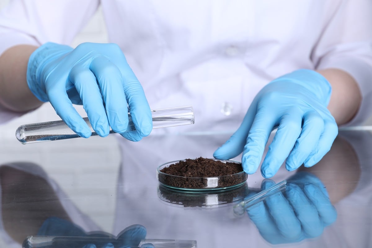 Scientist pouring liquid onto soil sample at table indoors