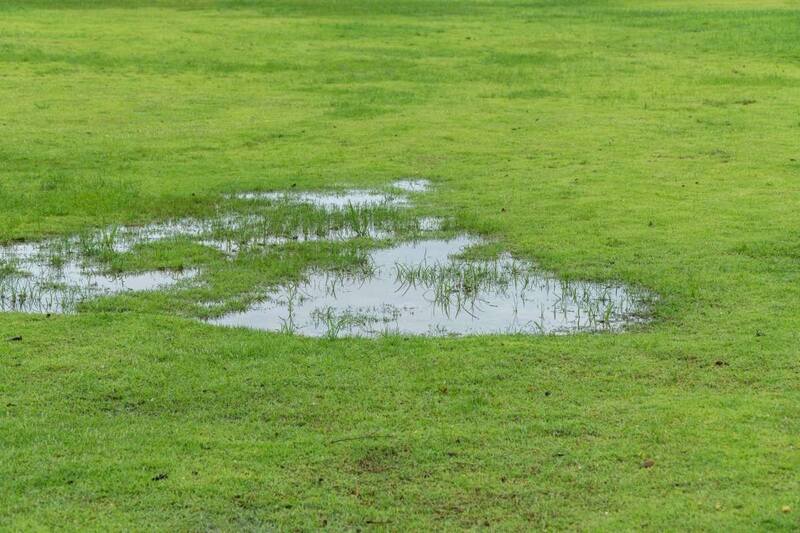 Puddle of standing water on a grassy lawn, indicating poor drainage and potential yard flooding issues.