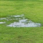 12 Ways to Get Rid of Standing Water in Your Yard