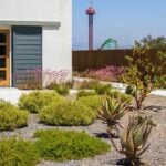 7 Benefits of Xeriscaping