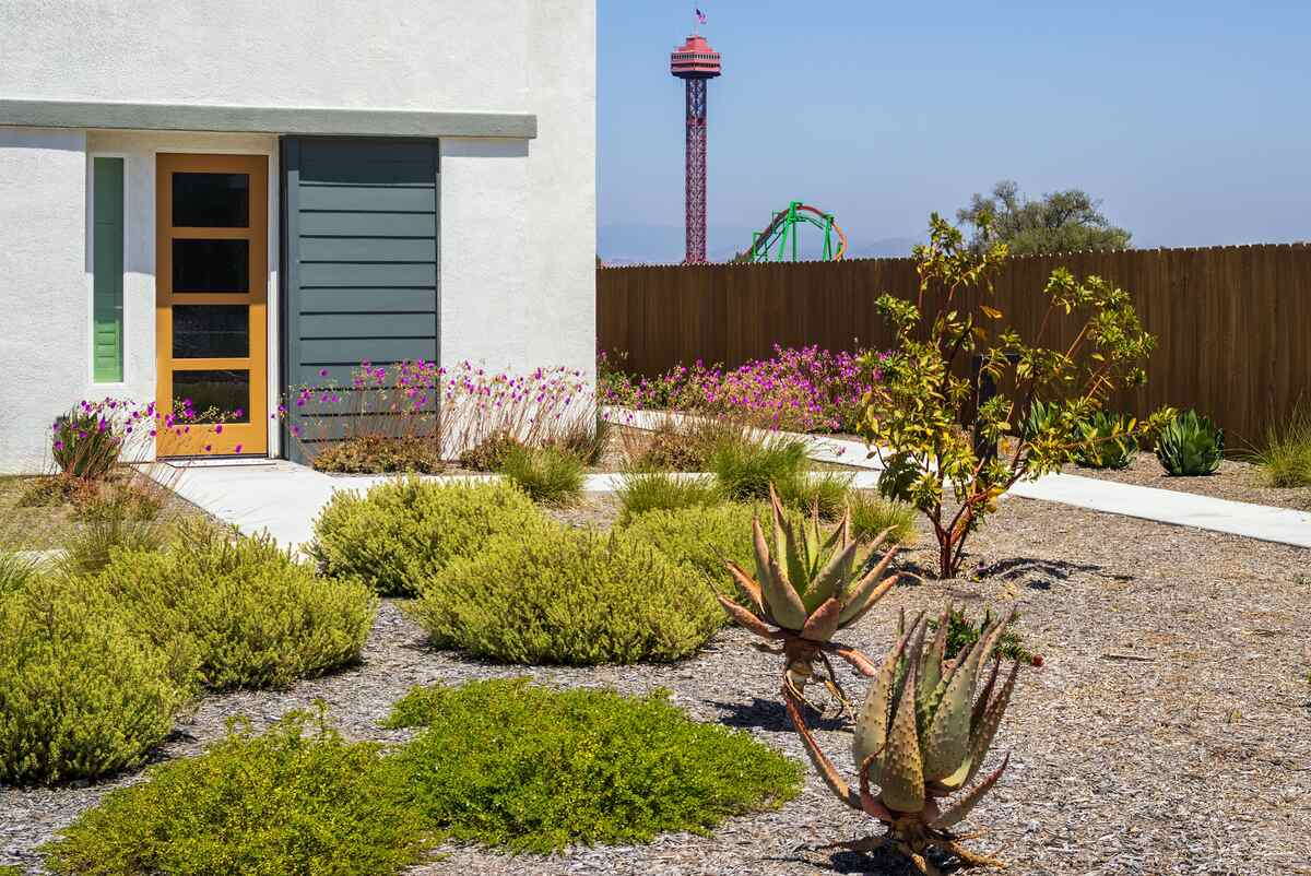 Xeriscaped front yard featuring drought-tolerant plants, gravel mulch, and succulents arranged around a walkway with no grass.