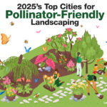 🦋 2025’s Top Cities for Pollinator-Friendly Landscaping 🐝