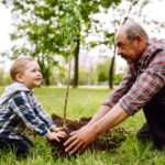 A child helps his grandfather plant a tree in their yard