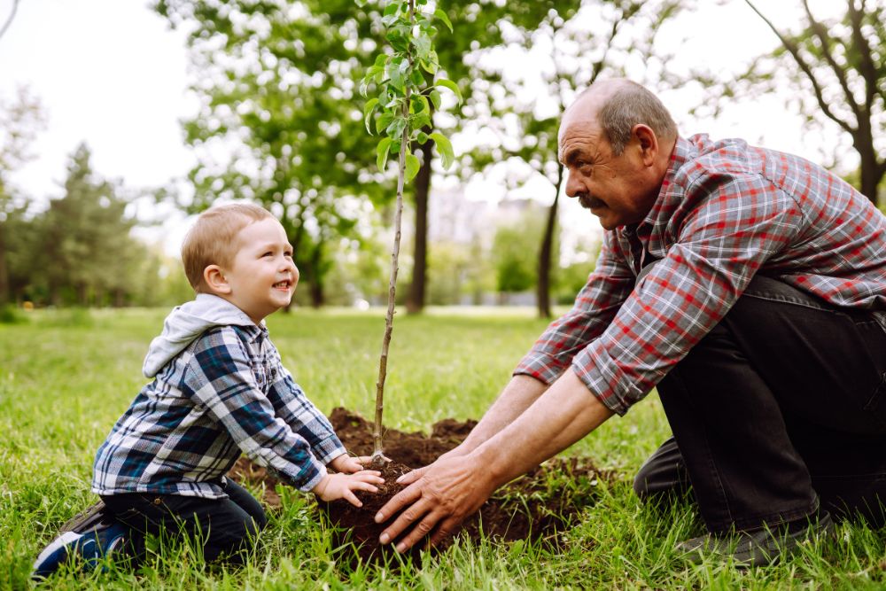 A child helps his grandfather plant a tree in their yard