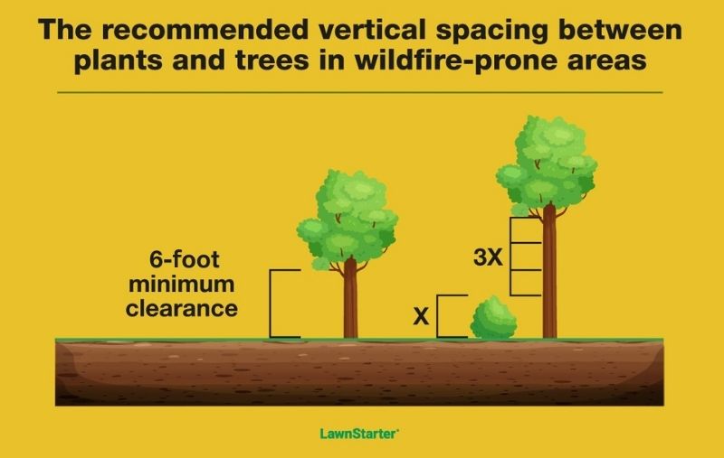 Diagram showing recommended vertical spacing in wildfire-prone areas. On the left, a tree has a 6-foot minimum clearance from the ground to the lowest branches. On the right, a shrub is planted below a tree with spacing marked as 3X the shrub height (X), creating a vertical gap to reduce fire risk. The background is yellow with green LawnStarter branding at the bottom