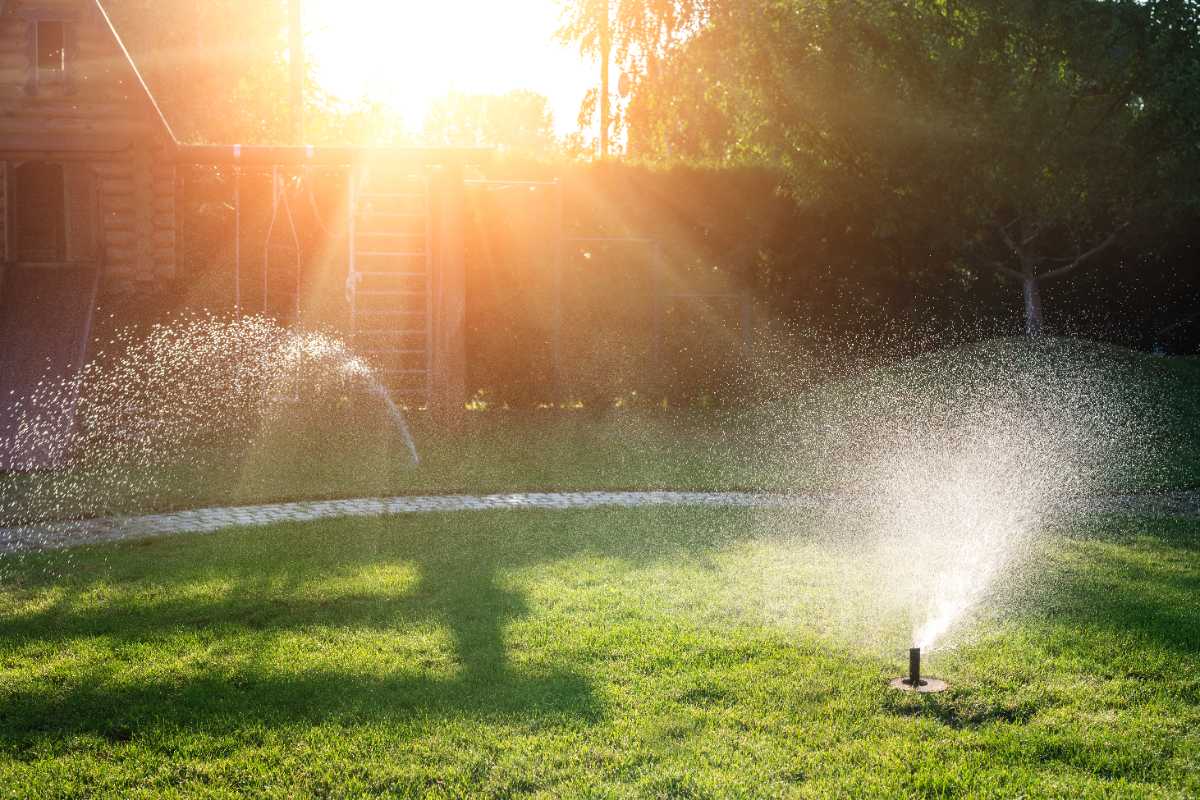 Landscape automatic garden watering system with different sprinklers installed under turf.
