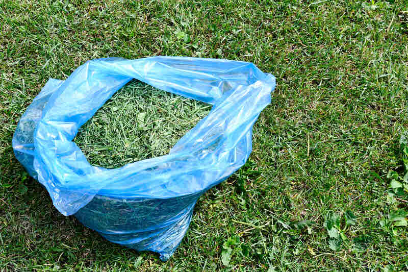 A blue plastic bag filled with freshly cut grass clippings sits on a mowed lawn.