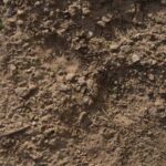 Top view and close-up of heavy, compact, and non-fertile clayey soil with stones.
