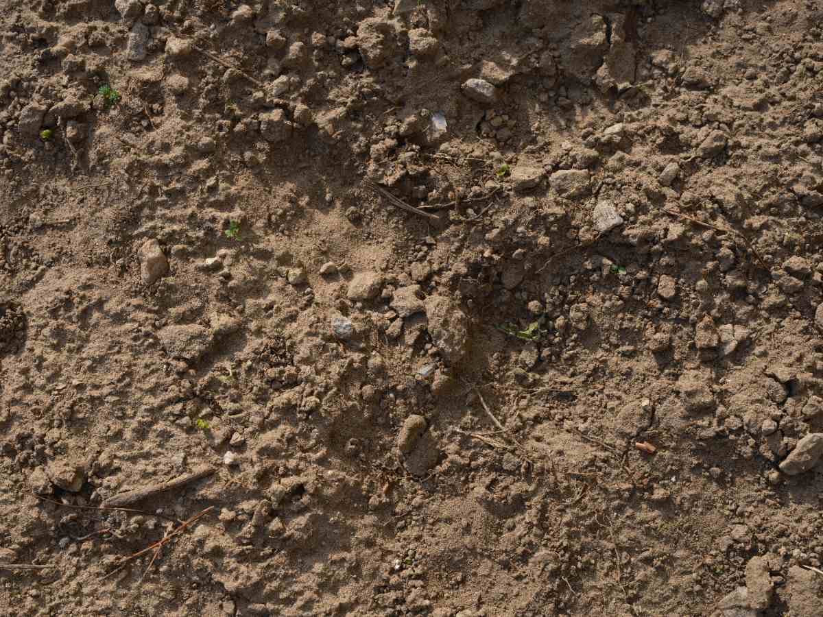 Top view and close-up of heavy, compact, and non-fertile clayey soil with stones.