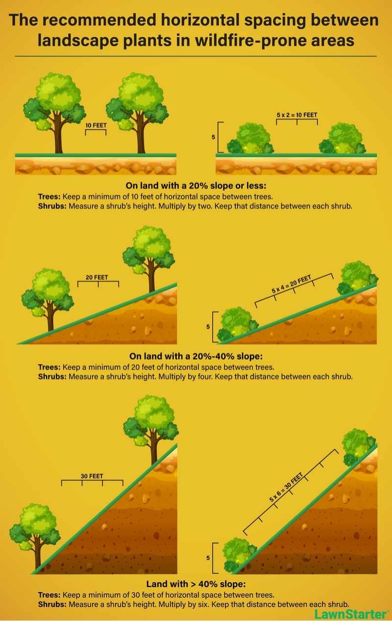 infographic depicting the recommended spacing for plants and trees for wildfire-prone areas
