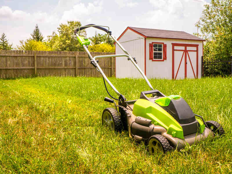 A green electric lawn mower sits on tall grass in a sunny backyard near a white and red shed