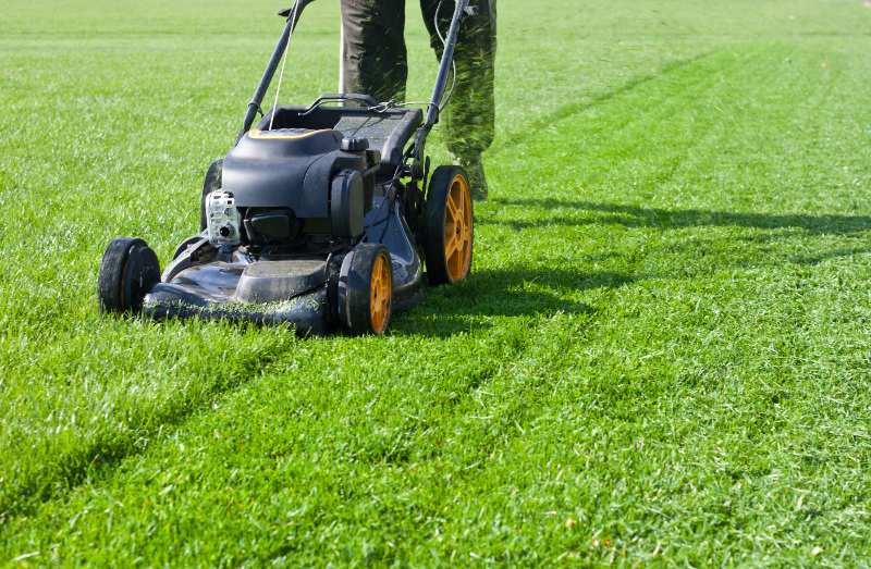 Person mowing a lush green lawn with a black and orange gas-powered lawn mower, creating neat, freshly cut lines in the grass.