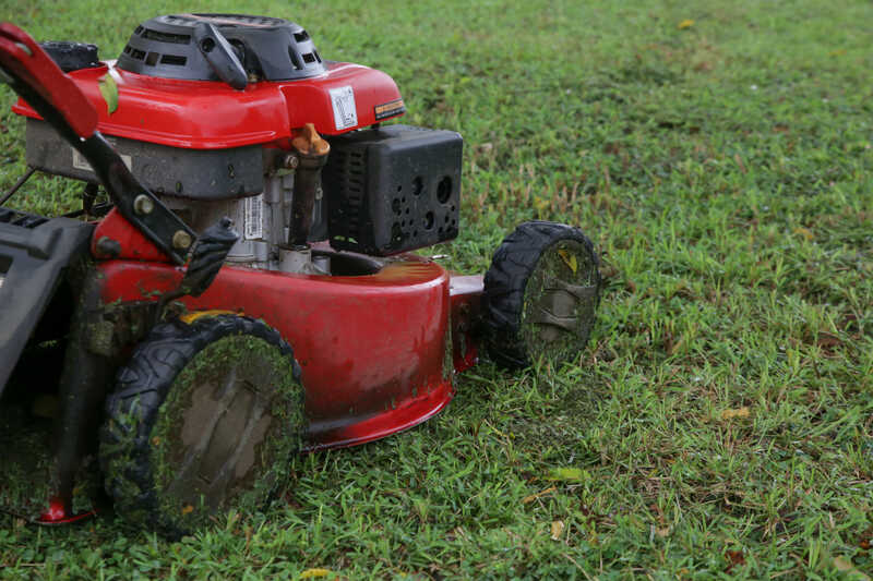 A red gas-powered lawn mower is being used to cut wet grass, with clippings sticking to its wheels
