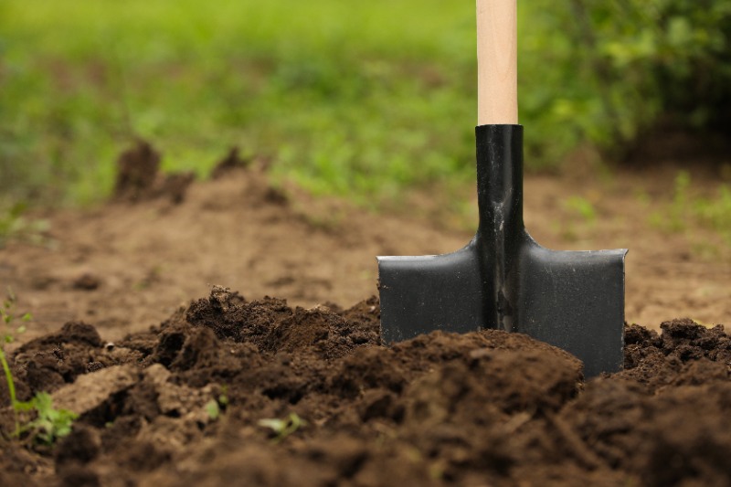 shovel stuck in the soil for testing