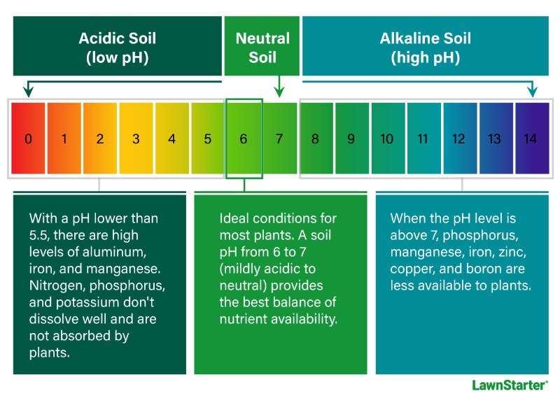 infographic for soil ph