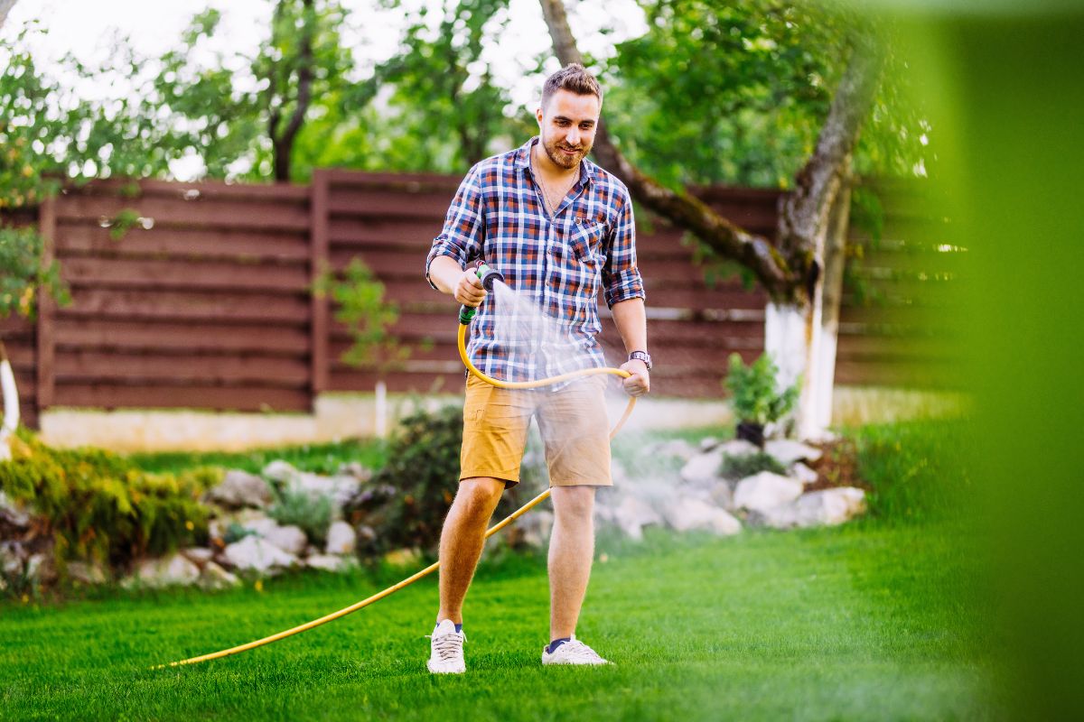 A man waters his green lawn with a hose.