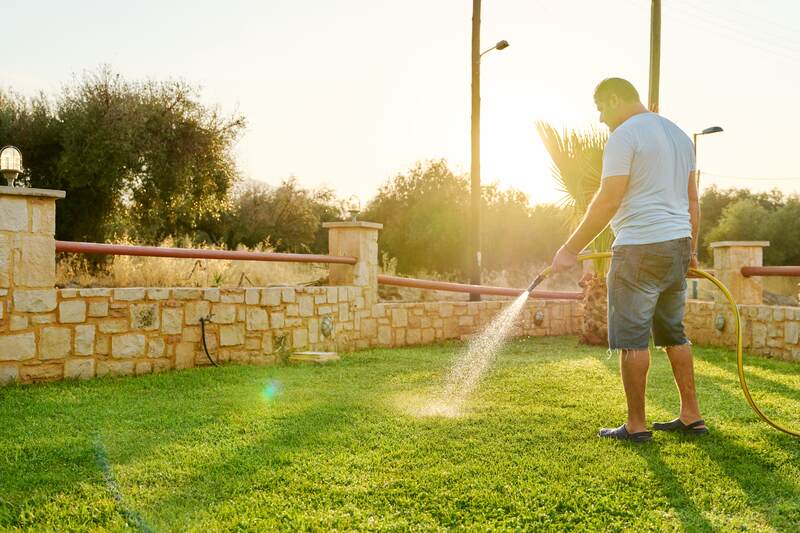 Man watering the warm season grass with a hose in the morning