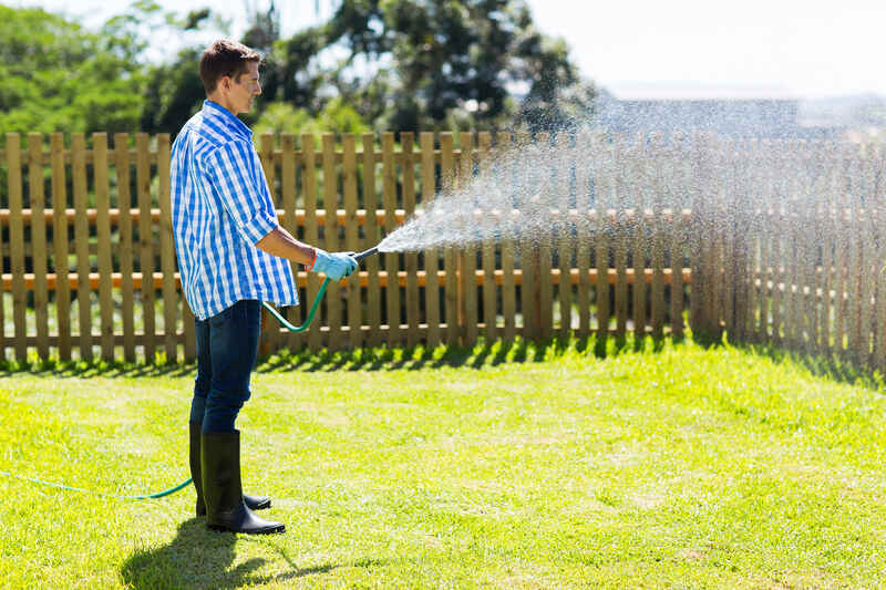 a young man watering his backyard lawn